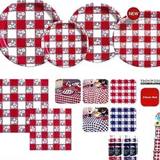 Red and Blue Gingham